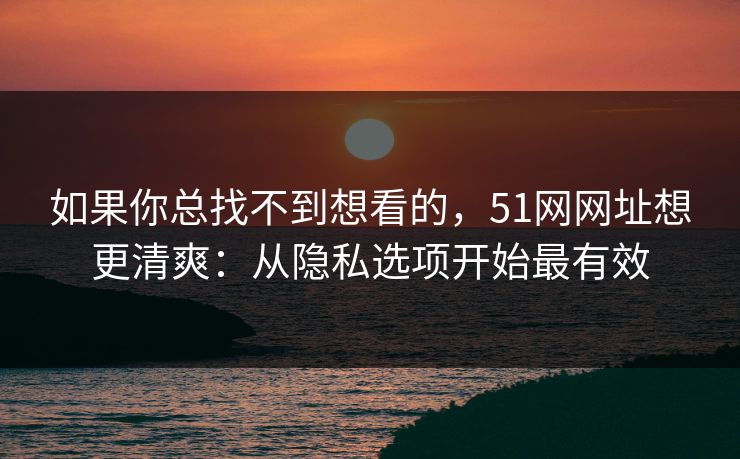 如果你总找不到想看的，51网网址想更清爽：从隐私选项开始最有效