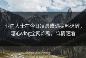 业内人士在今日凌晨遭遇猛料迷醉，糖心vlog全网炸锅，详情速看