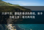 只讲干货：蘑菇影像调色教程，新手也能上手｜看完再骂我