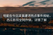 明星在今日凌晨遭遇热点事件揭秘，西瓜影院全网炸锅，详情了解