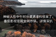 神秘人在中午时分遭遇爆料惊呆了，番茄影视官网全网炸锅，详情深扒
