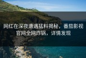 网红在深夜遭遇猛料揭秘，番茄影视官网全网炸锅，详情发现