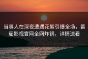 当事人在深夜遭遇花絮引爆全场，番茄影视官网全网炸锅，详情速看