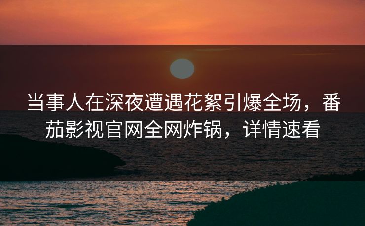 当事人在深夜遭遇花絮引爆全场，番茄影视官网全网炸锅，详情速看
