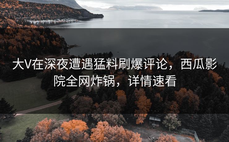 大V在深夜遭遇猛料刷爆评论,西瓜影院全网炸锅,详情速看 大V在深夜遭遇猛料刷爆评论,西瓜影院全网炸锅,详情速看