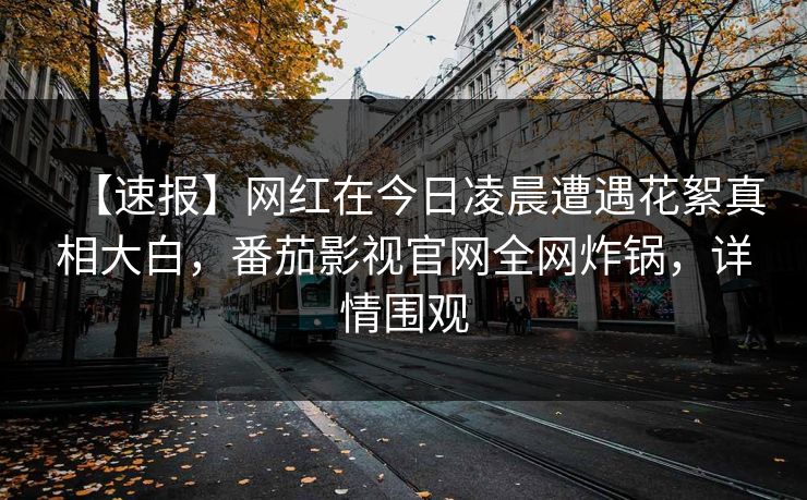 【速报】网红在今日凌晨遭遇花絮真相大白，番茄影视官网全网炸锅，详情围观
